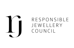 Hexingsheng Jewelry | Making Fashion More Sustainable: The Present and Future of Eco-Friendly Jewelry