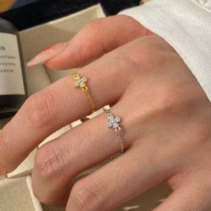 The Rise of Adjustable Chain Rings: From Craft to Global Trend